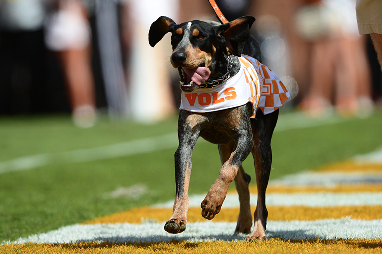 The Vols Fall in the AP College Football Poll Despite Overtime Win over Gators