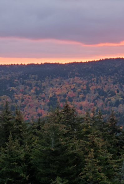 Leaves at Peak in Higher Elevations of Smoky Mountains, the Rest of East Tennessee Very Soon