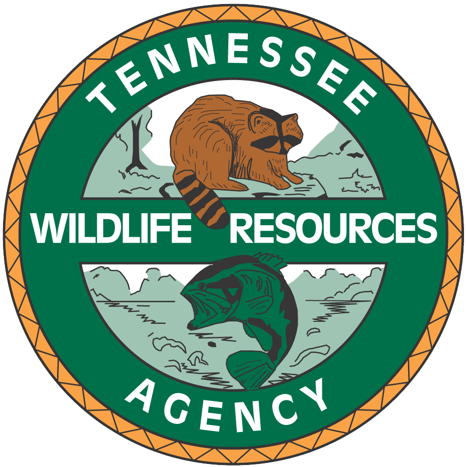 Appalachian Bear Rescue, Tennessee Wildlife Agency Ink New Agreement