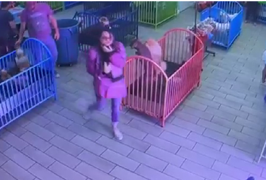 Police are Asking for Help to Identify a Woman who Walked out of a Pet Store with an Expensive Puppy
