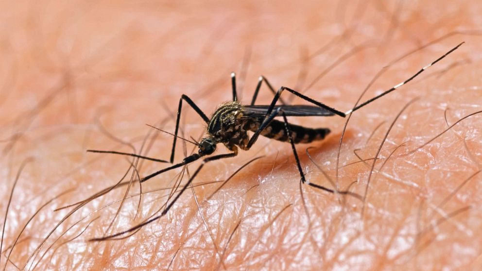Health Department Schedules Spraying after West Nile Virus Discovered