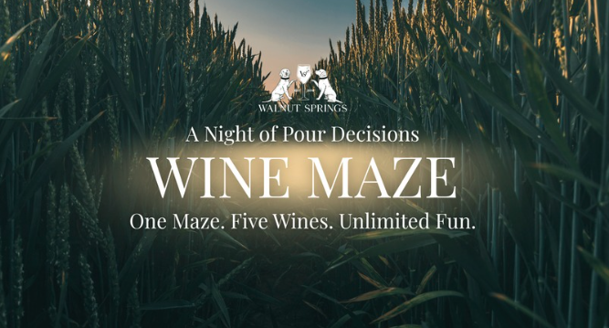 Walnut Springs Winery Lainey Wilson Corn Maze!