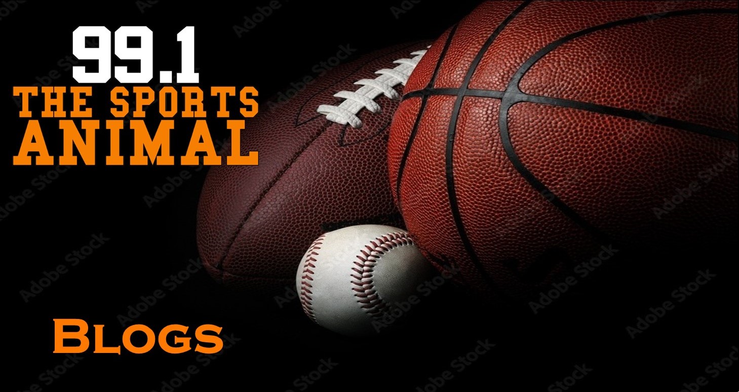 99.1 The Sports Animal Individual Blogs