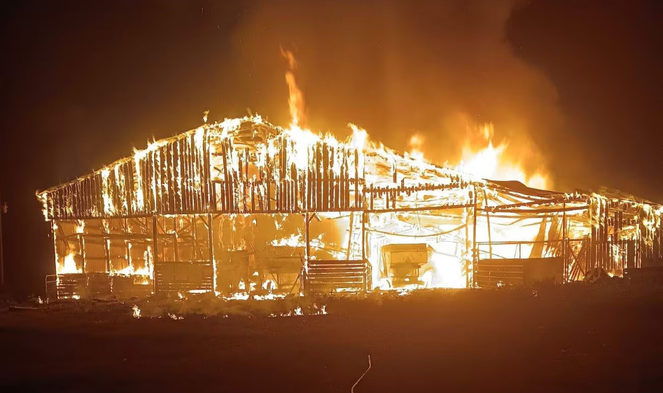 An Investigation is Underway After Animals Perish in Jefferson County Venue Fire