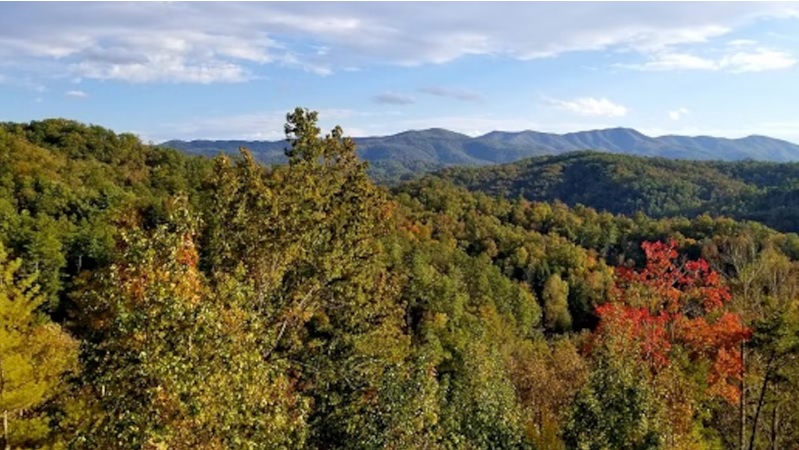 Cherokee National Forest Crews to Close Road for Repairs