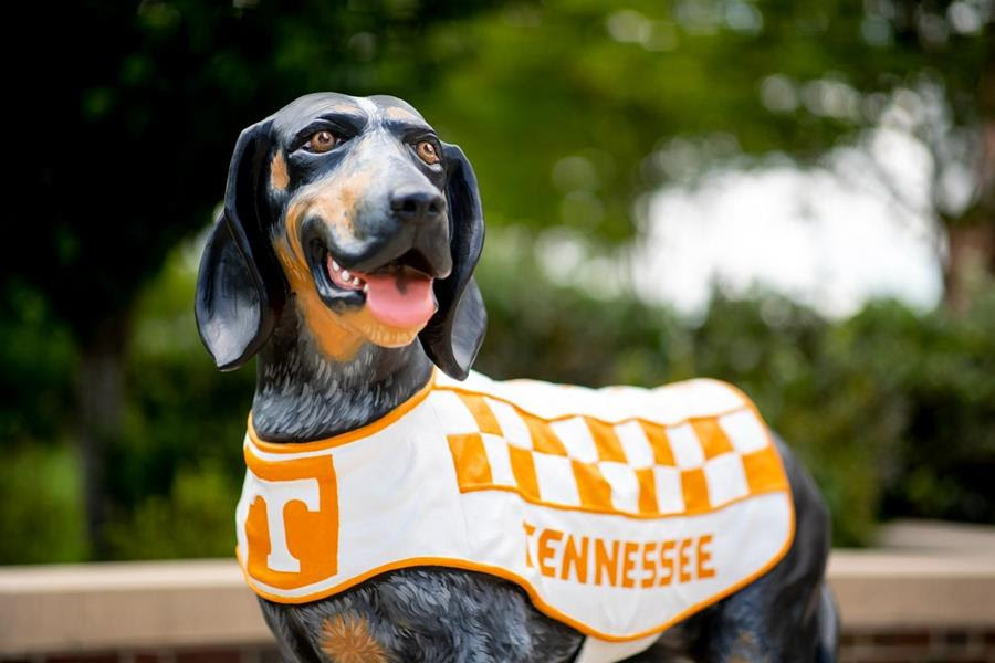 Tennessee Places Record 69 On 2022-23 Winter SEC Academic Honor Roll