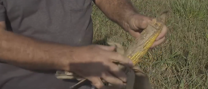 Hamblen County Farmers say it will Take Generations to Recover from Flooding Caused by Hurricane Helene