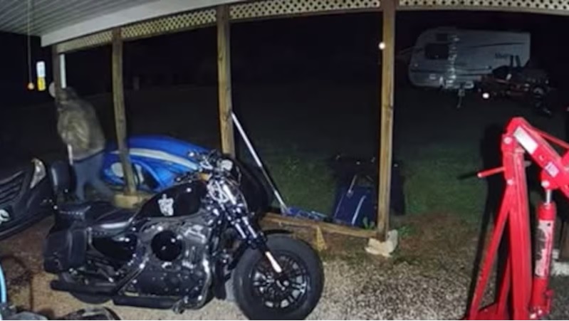 ‘Serial Vehicle Burglar’ Steals Child’s Flute, Monroe County Sheriff Says