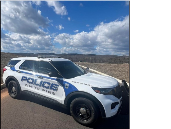 Four Dogs, Eight Puppies Rescued from White Pine Home, Police Say