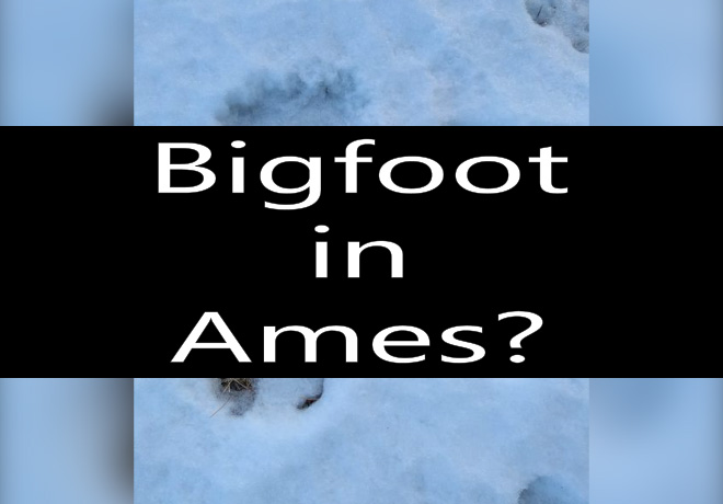 Bigfoot in Ames?