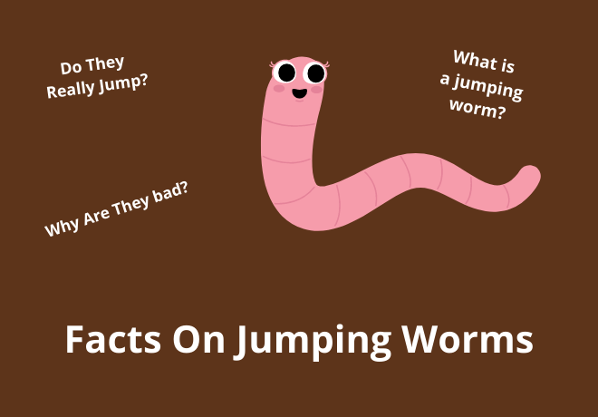 JUMPING WORMS?