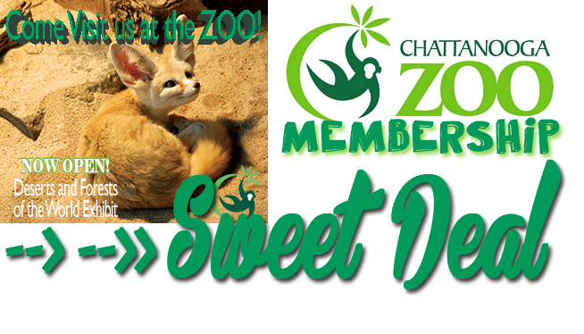 Sweet Deal: Chattanooga Zoo