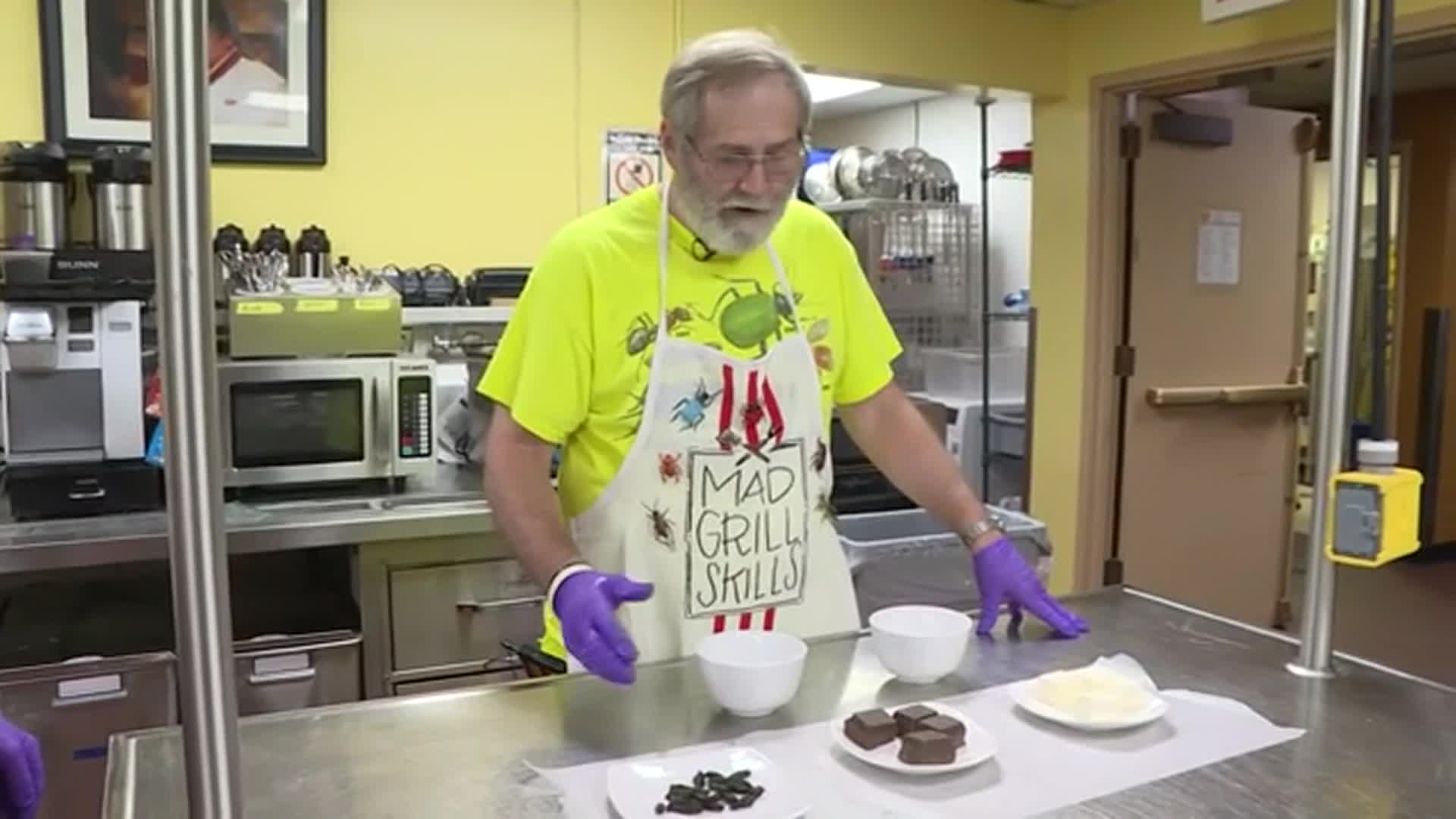 Serving Up Cicadas at UT