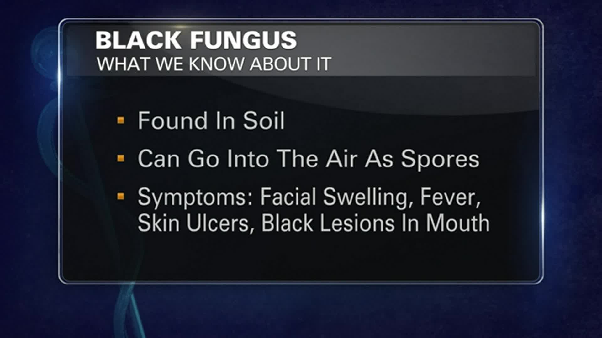 What Is Black Fungus?