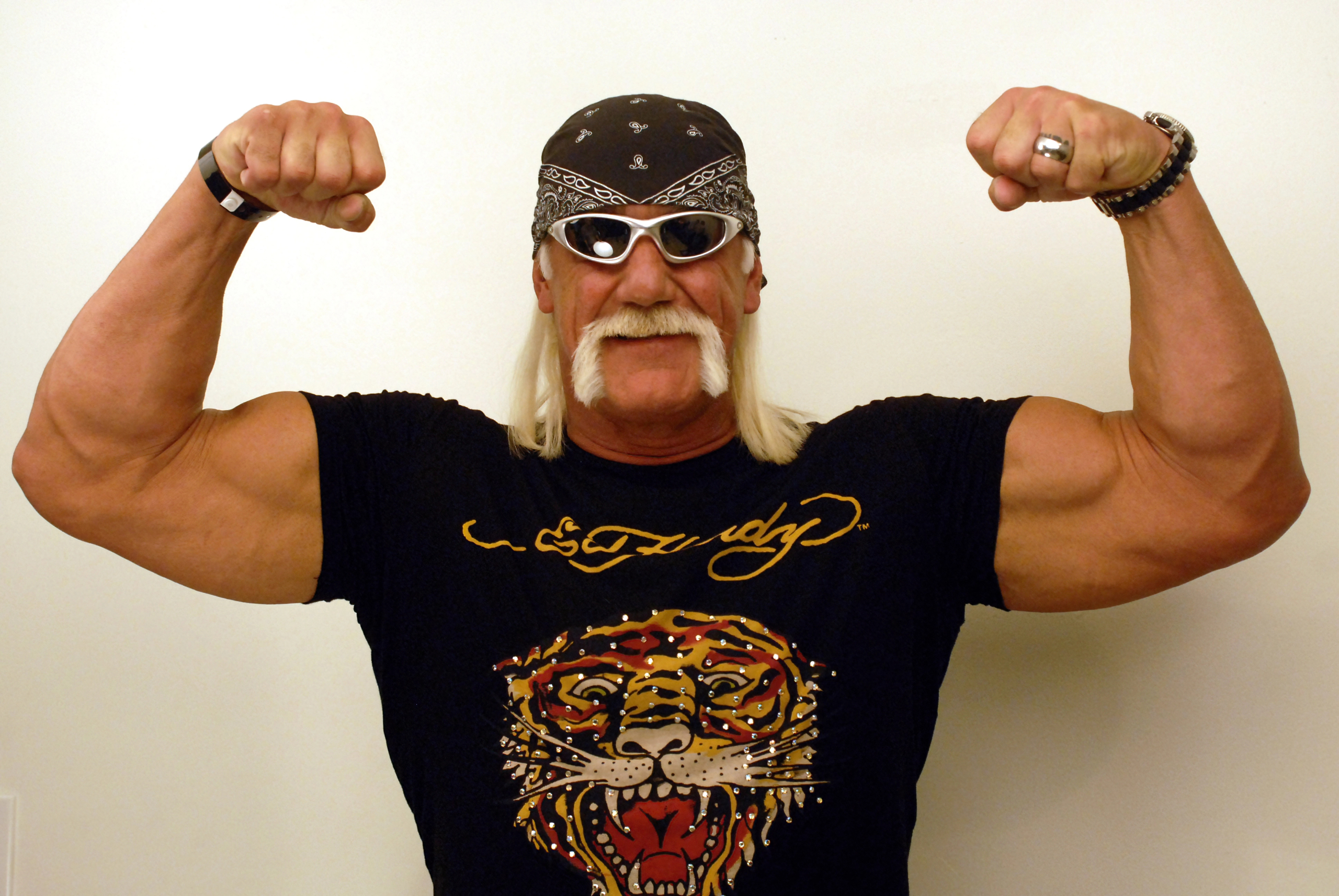 Hulk Hogan Has Died at 71