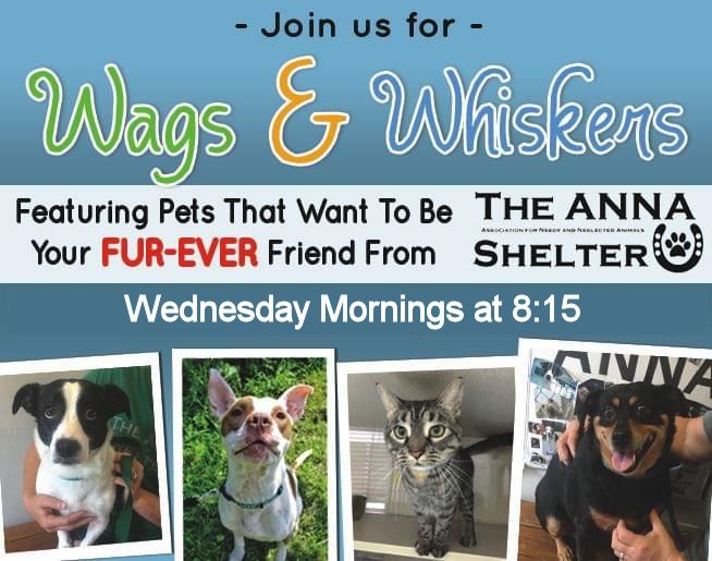 Wags and Whiskers with The ANNA Shelter!