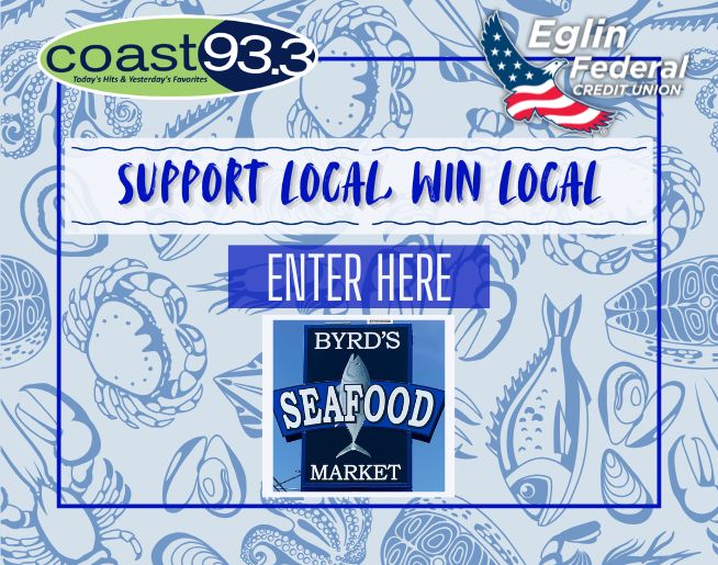 Live Local in August