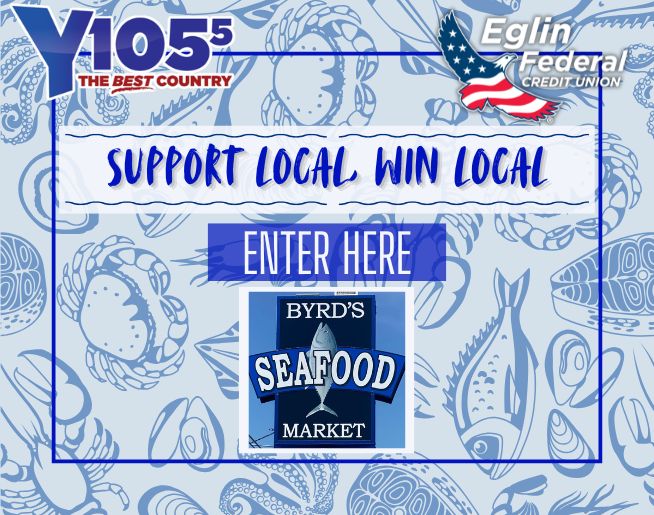 Live Local in August