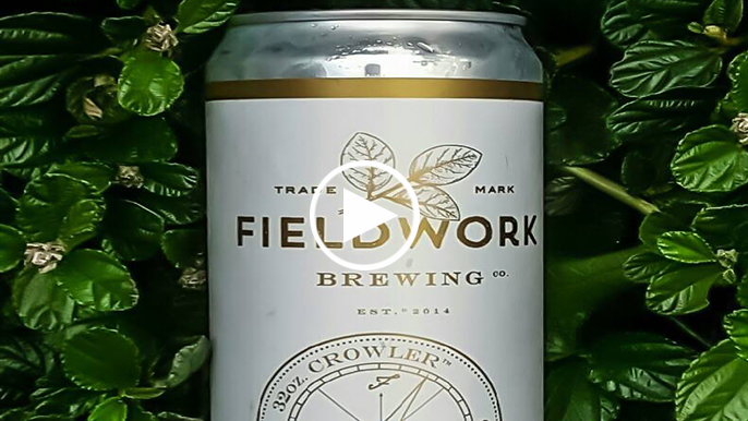 Tolbert’s Beer Review: Fieldwork Brewing Co. Misfit Stream
