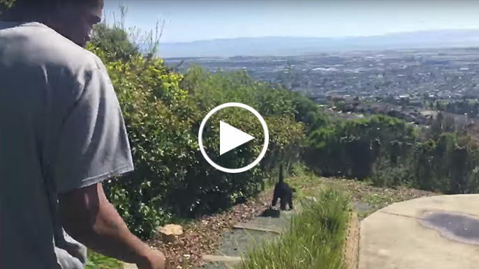 Kevin Durant livestreams quick tour of his East Bay house