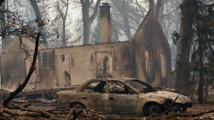 49ers coach raising funds for Camp Fire victims