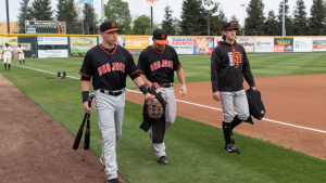 Minor League Baseball season canceled in official blow to so many prospects