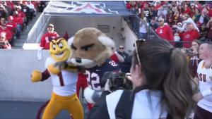 Mascots have fist fight during Arizona-Arizona State game