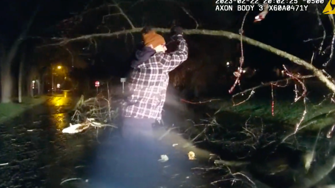 Jim Harbaugh helps Ann Arbor police move fallen tree during ice storm