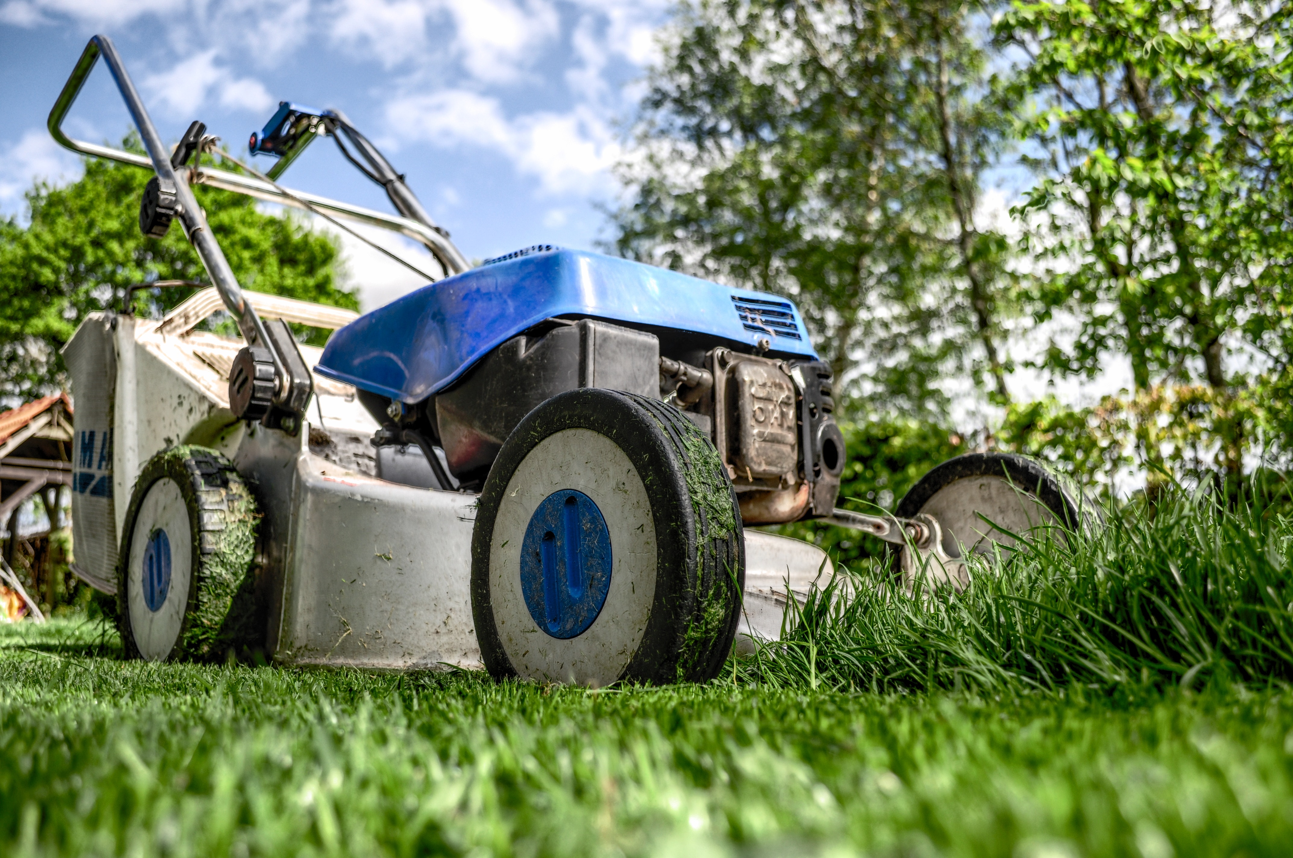 A Woman Tries to Stop an Out-of-Control Lawn Mower . . . with a Stick