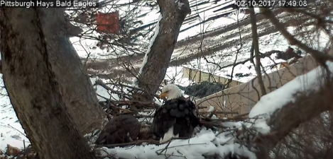 Wind damages Eagle’s Nest