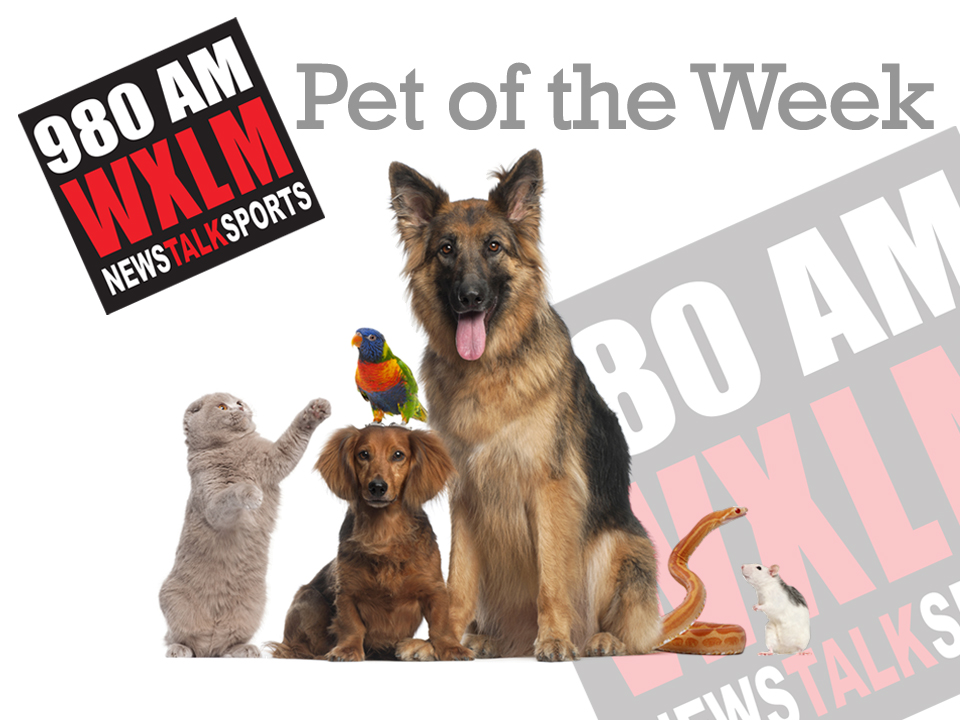 WXLM Pet of the Week: Pookie!