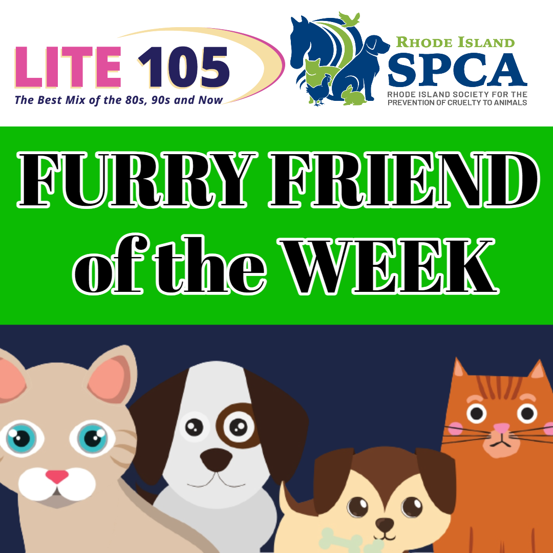 Meet Lola and Paxton, our FURRY FRIENDS of the WEEK!  (9/29/21)