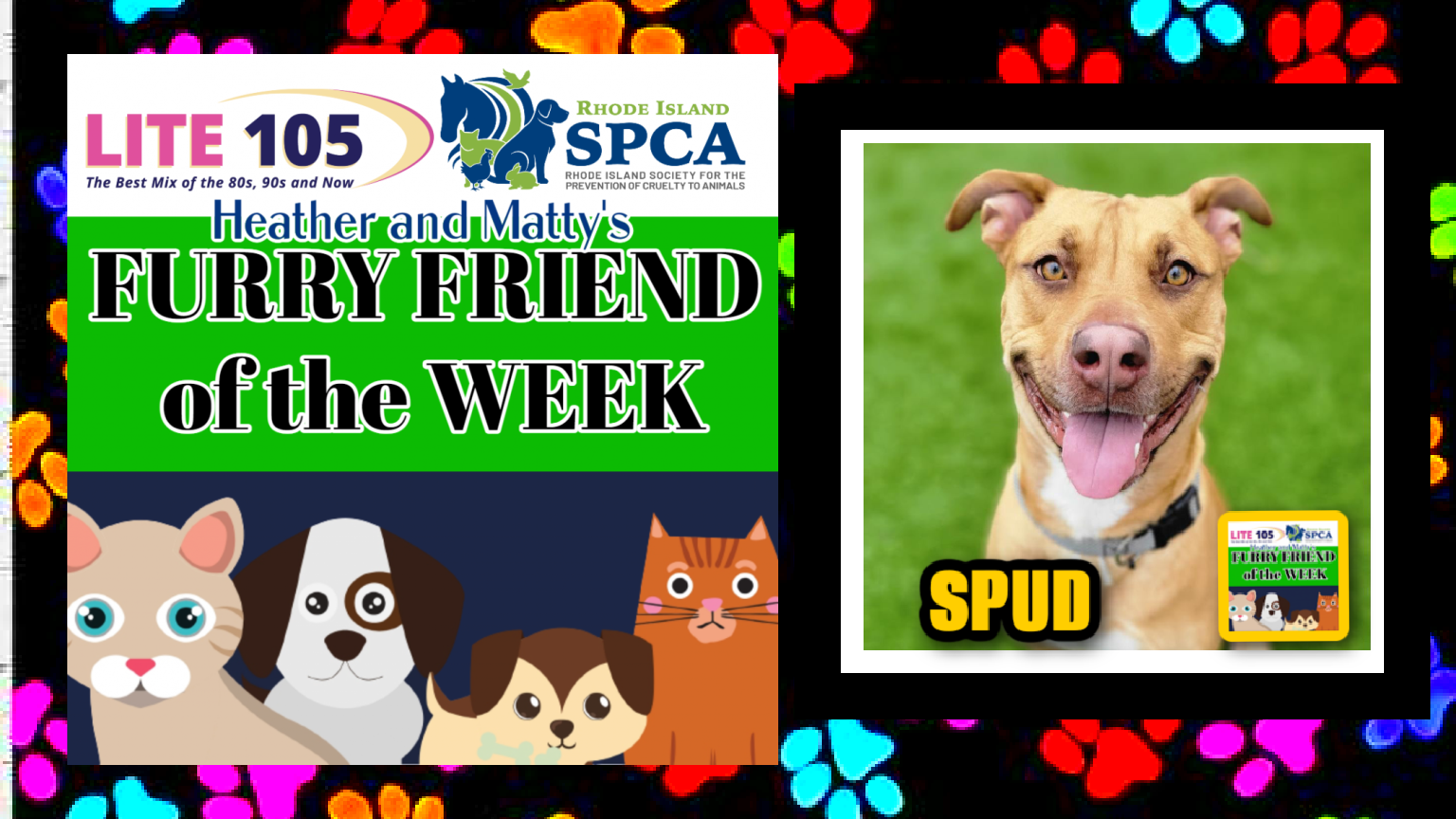 Heather & Matty’s FURRY FRIEND of the WEEK on Lite 105