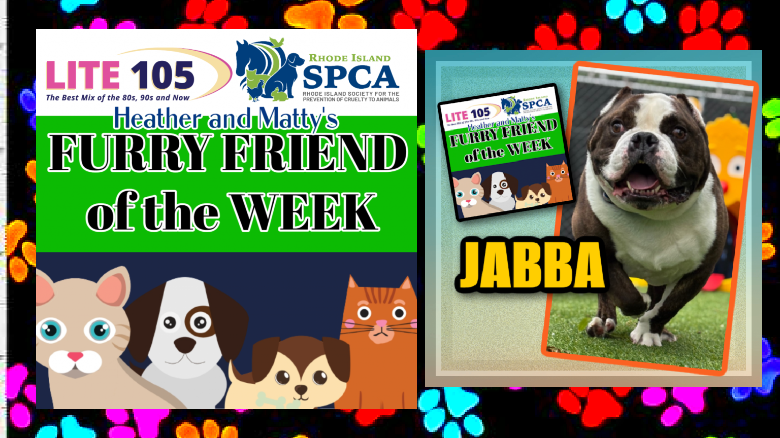 Heather & Matty’s FURRY FRIEND of the WEEK on Lite 105
