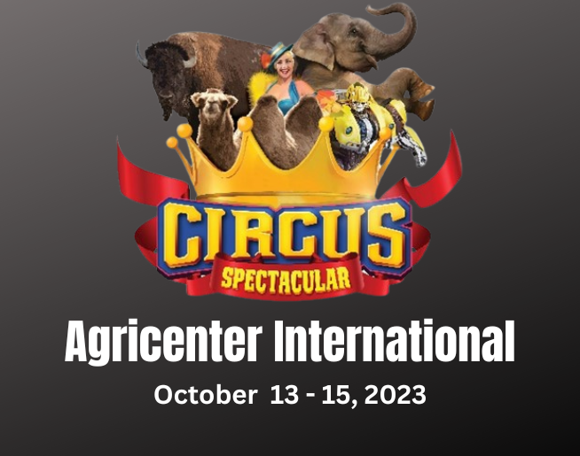 Carden International Circus – Agricenter