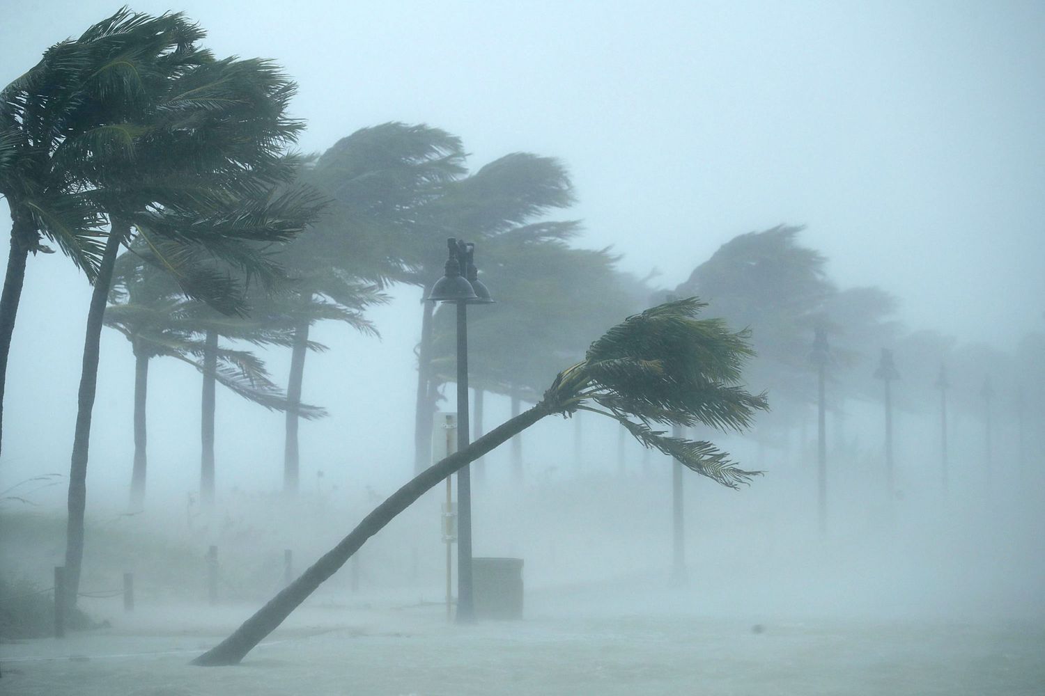 NATIONAL | Category 4 Hurricane Beryl Makes Way Towards Jamaica, Mexico Next