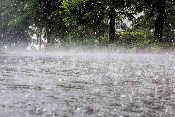 TENNESSEE | Obion County Under State Of Emergency After Levee Failure Causes Intense Flooding