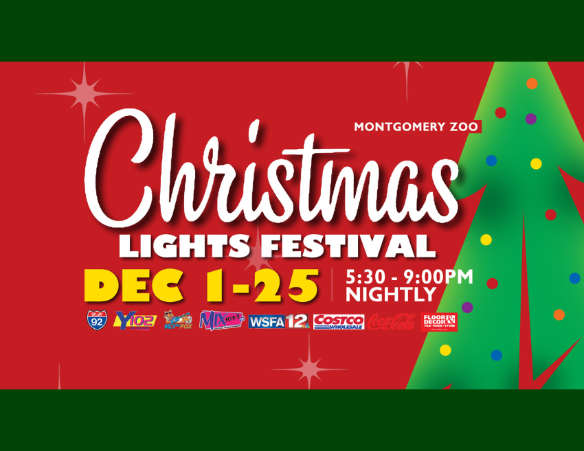 Enjoy the Christmas Lights Festival on Us!