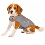 Thunderjackets For Dogs!