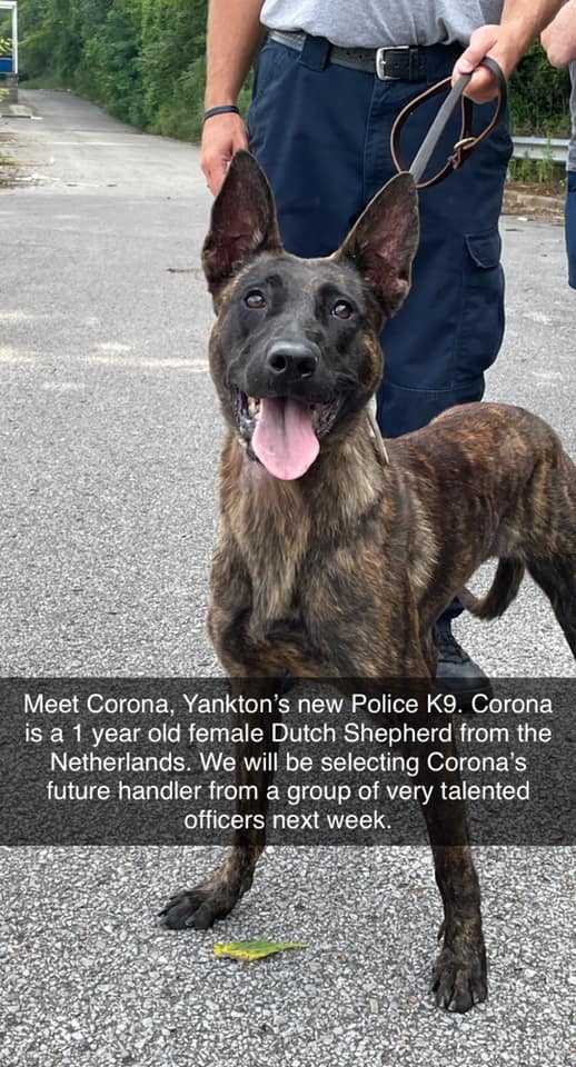 Yankton Welcomes New K-9 Officer