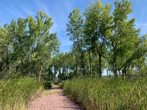 Hikers Rescued From Lake Yankton Island