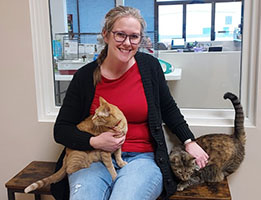 Cozy Cats at the Library