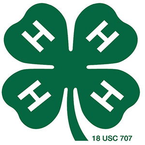 State 4-H Reports to County