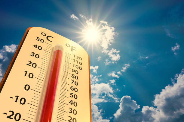 Tips for Homeowners During Hot Weather