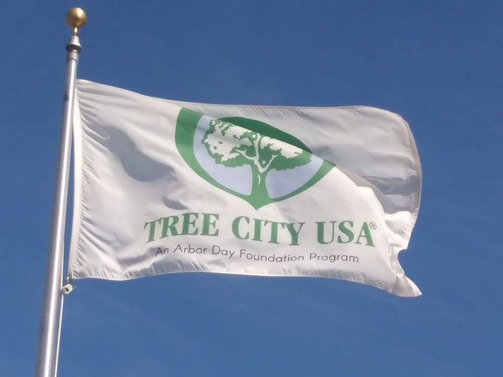 Pierre To Celebrate 40 Years As Tree City USA Friday