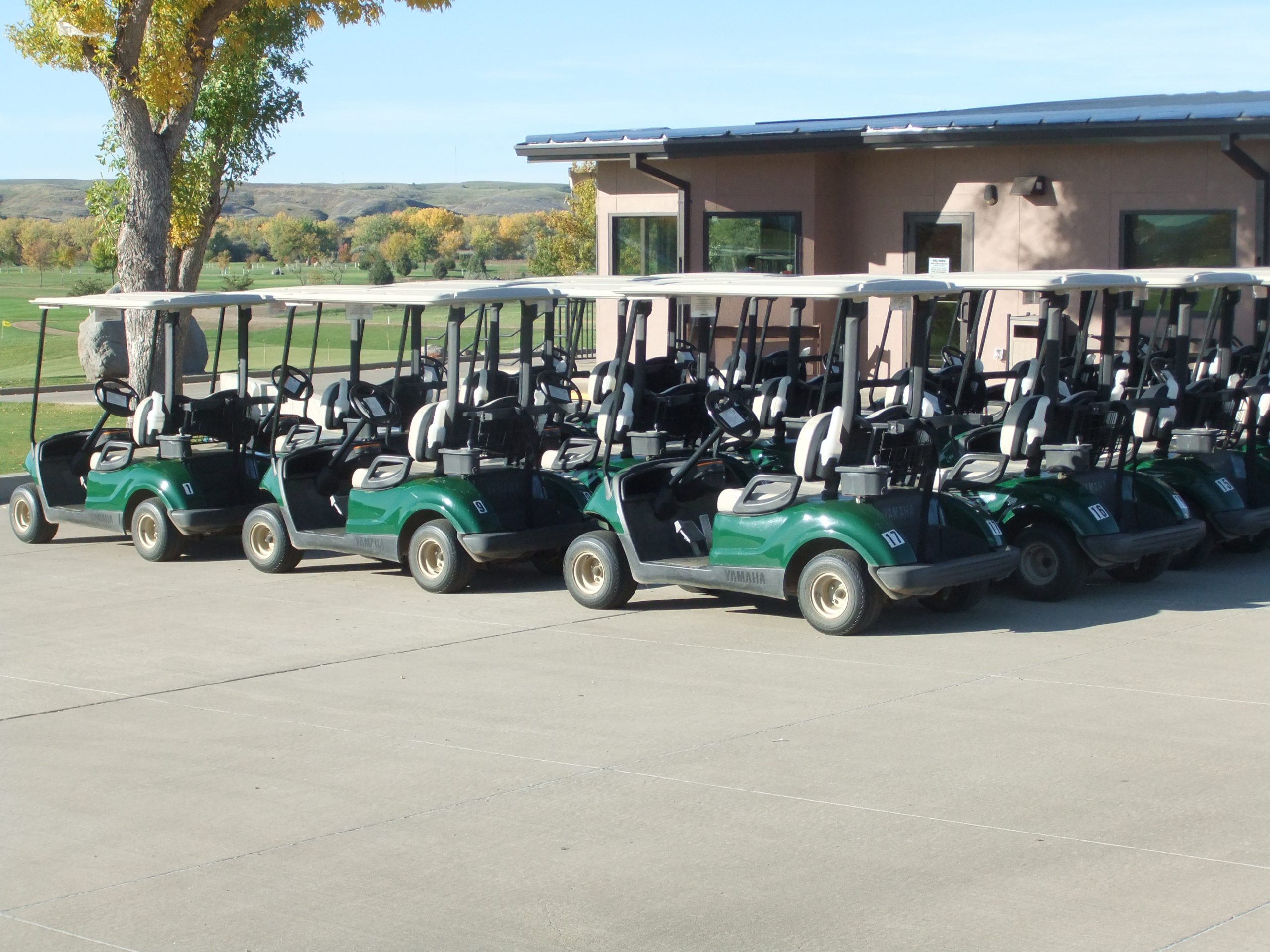 Hillsview Golf Course Approved To Seek Bid For New Golf Cart Lease