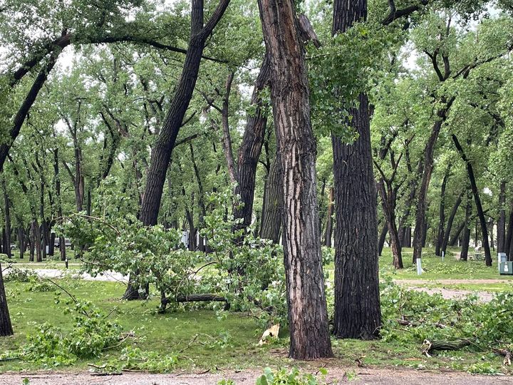 Storm Damage Forces Temporary Closure Of Oahe Downstream Rec Area For Clean-up, Repairs