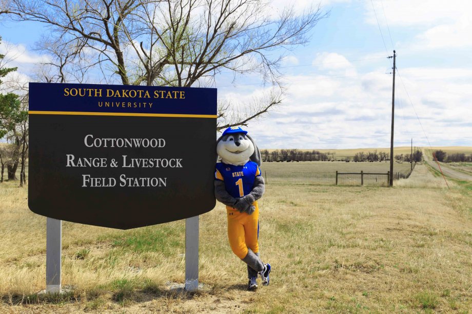 SDSU Hoping To Begin Cottonwood Field Station Improvements Next Year