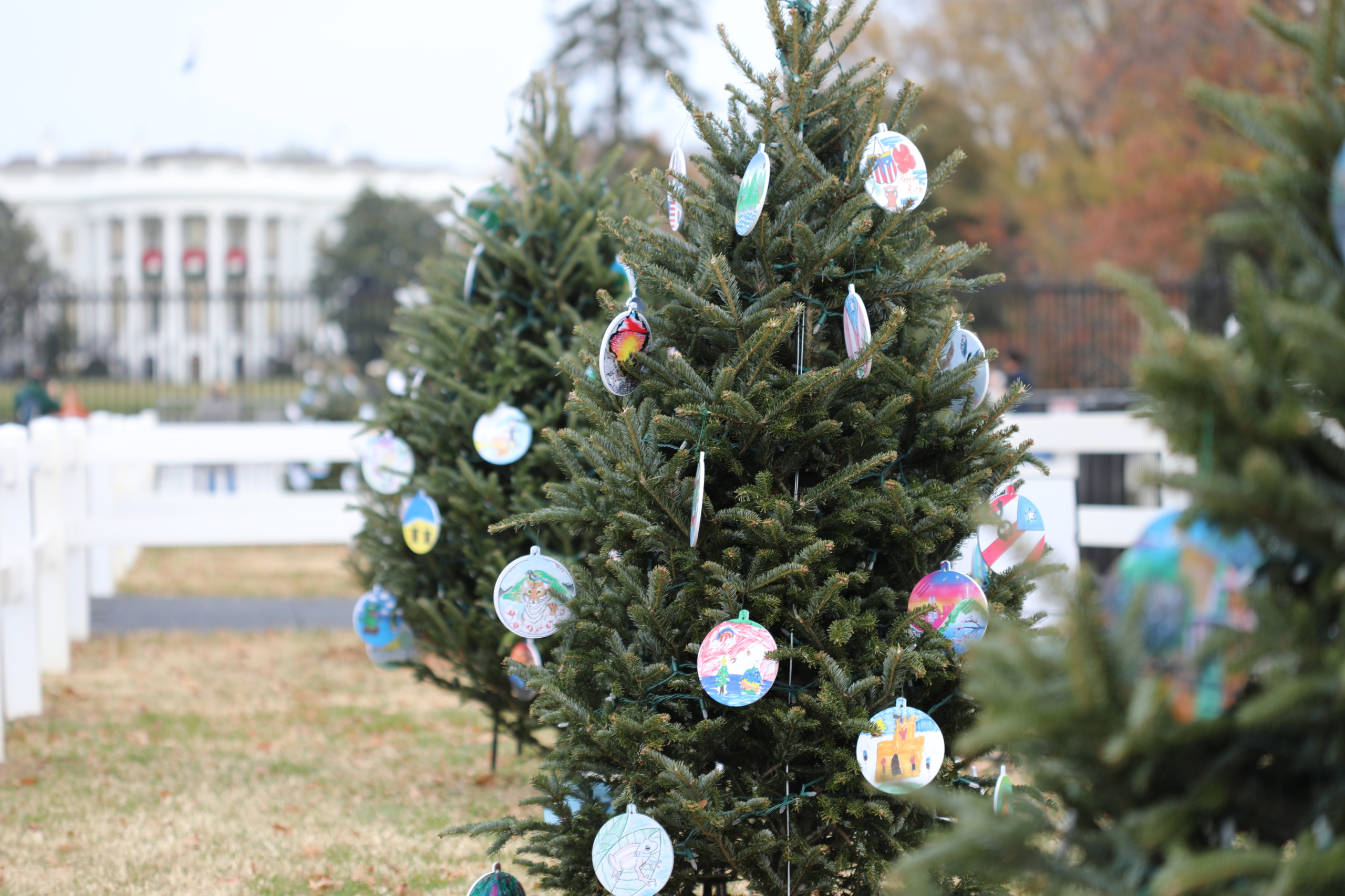 Stanley County 3rd Graders Representing South Dakota With Ornaments For National Christmas Tree Celebration In Washington, D.C.