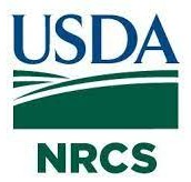 Producers In Four Central South Dakota Counties Eligible For Fast Track Funding For Windbreaks, Shelterbelts From NRCS